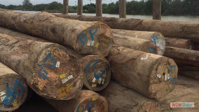 javascript image slider